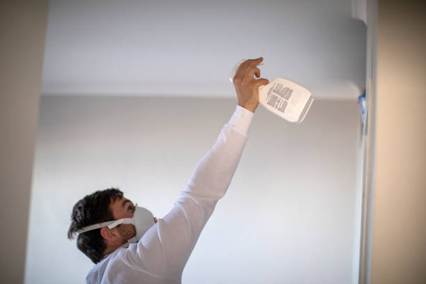 Best Residential Mold Removal  in Averill Park, NY
